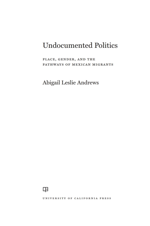Cover image for book Undocumented Politics