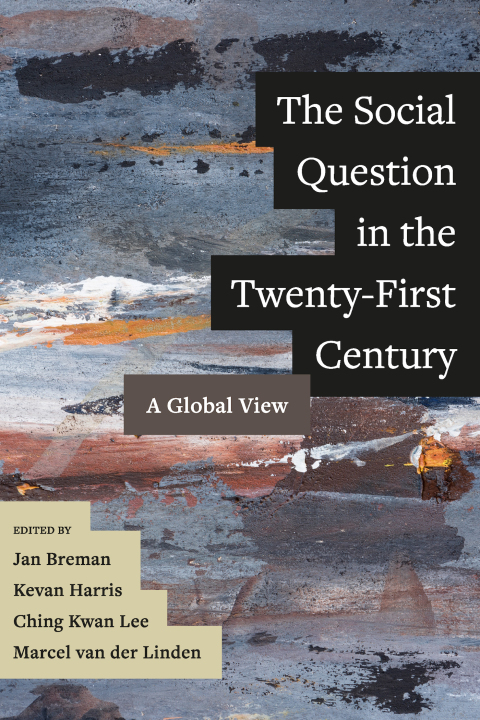 Cover image for book The Social Question in the Twenty-First Century
