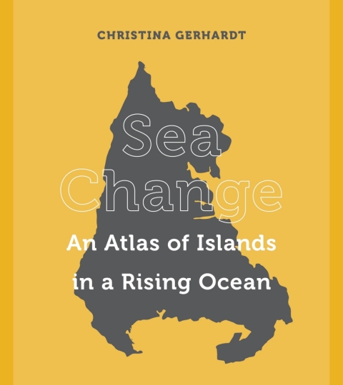 Cover image for book Sea Change