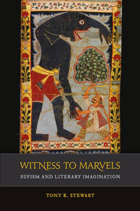 Cover image for book Witness to Marvels