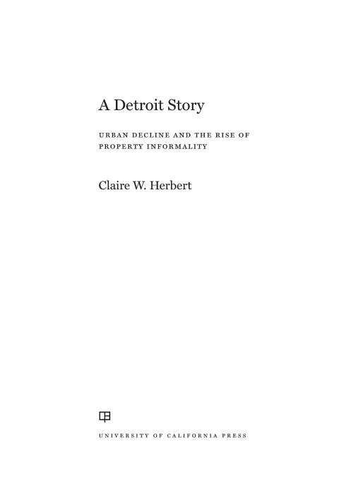 Cover image for book A Detroit Story
