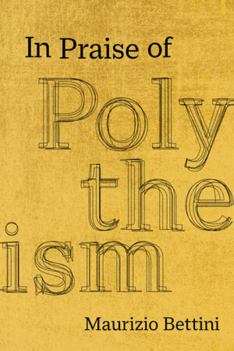 Cover image for book In Praise of Polytheism