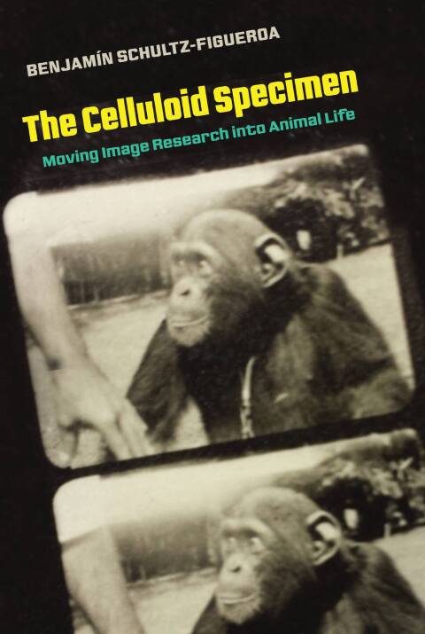 Cover image for book The Celluloid Specimen