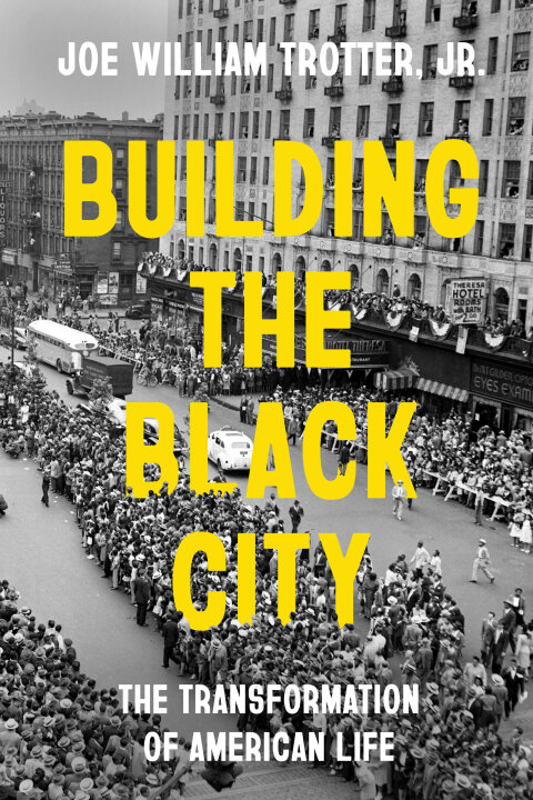 Cover image for book Building the Black City