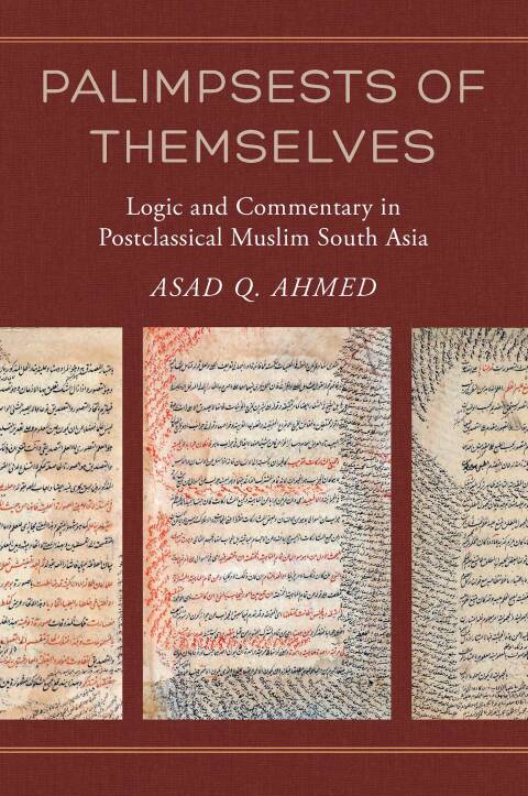 Cover image for book Palimpsests of Themselves
