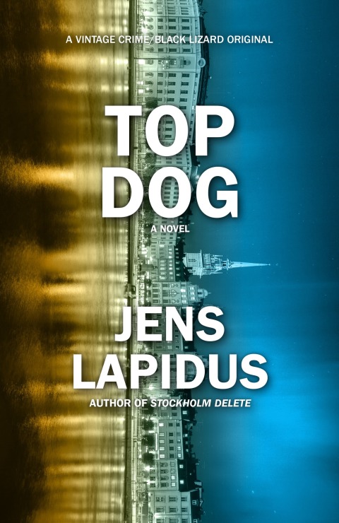 Cover image for book Top Dog