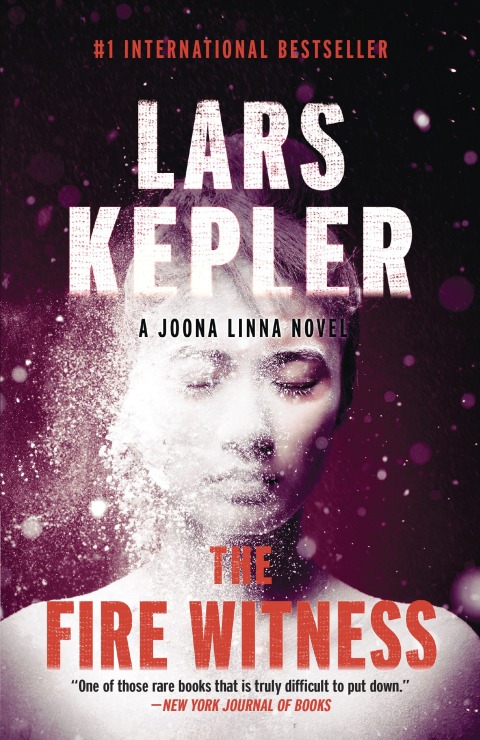Cover image for book The Fire Witness