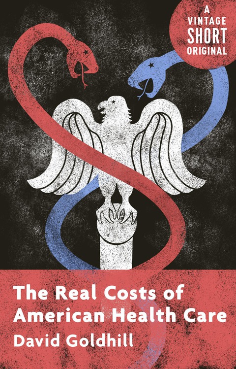 Cover image for book The Real Costs of American Health Care