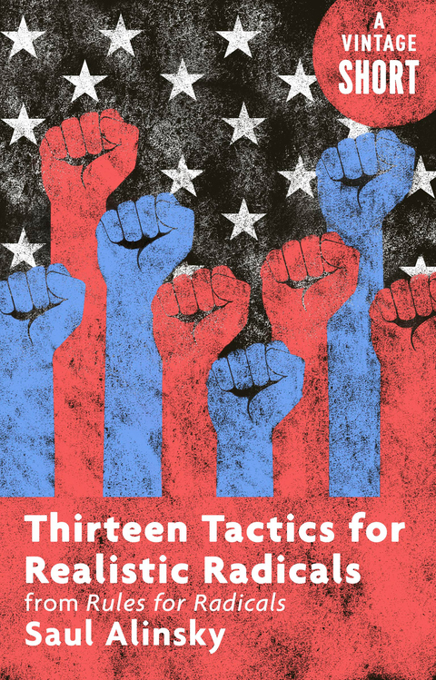 Cover image for book Thirteen Tactics for Realistic Radicals