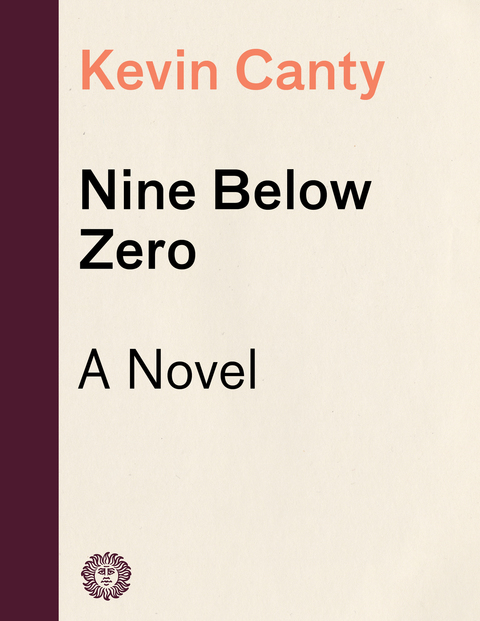 Cover image for book Nine Below Zero