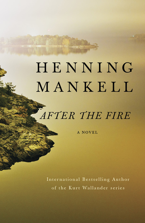 Cover image for book After the Fire