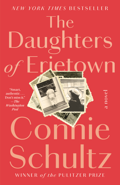 Cover image for book The Daughters of Erietown