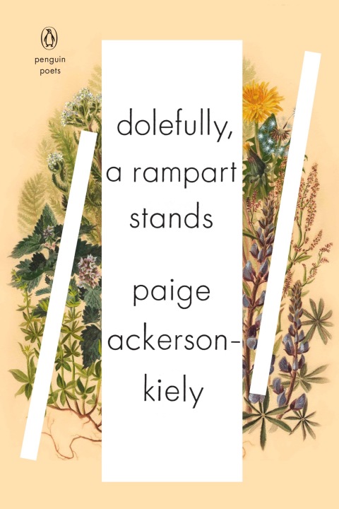 Cover image for book Dolefully, A Rampart Stands