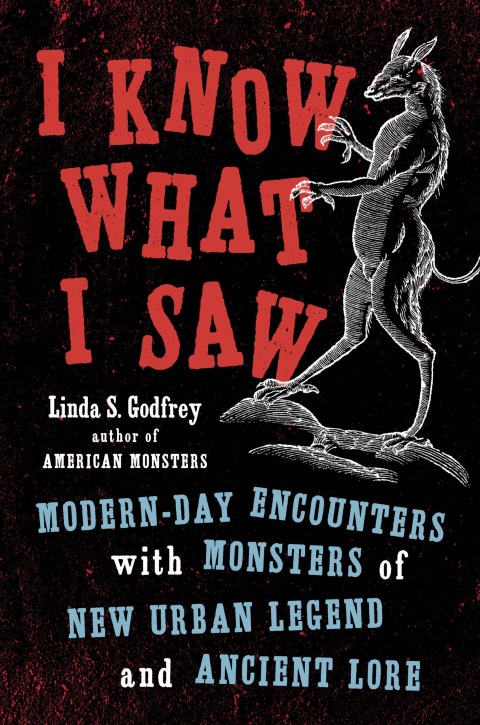 Cover image for book I Know What I Saw