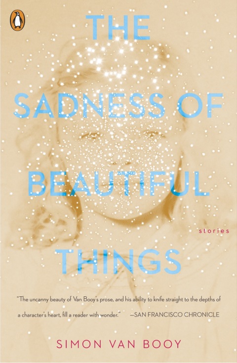 Cover image for book The Sadness of Beautiful Things