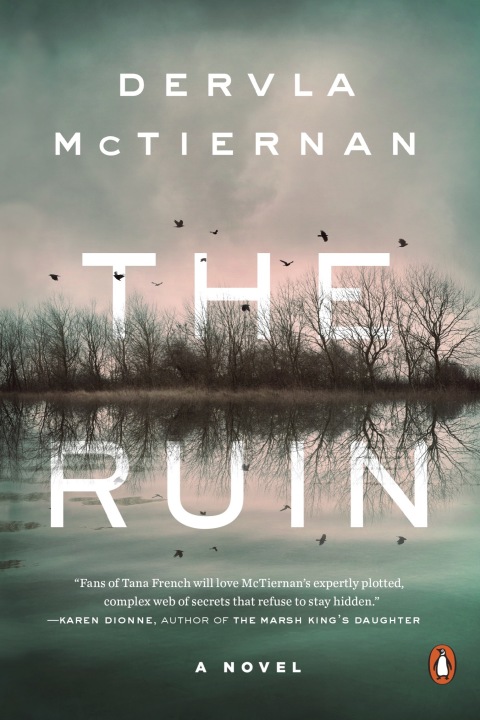 Cover image for book The Ruin