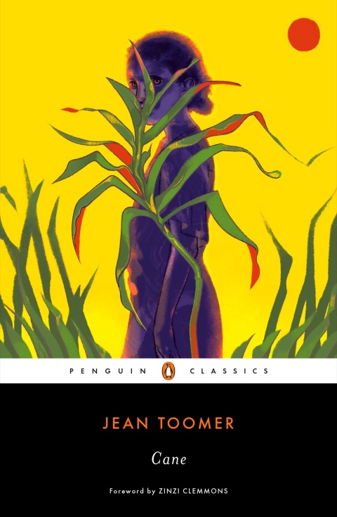 Cover image for book Cane