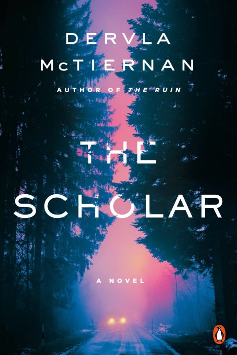 Cover image for book The Scholar
