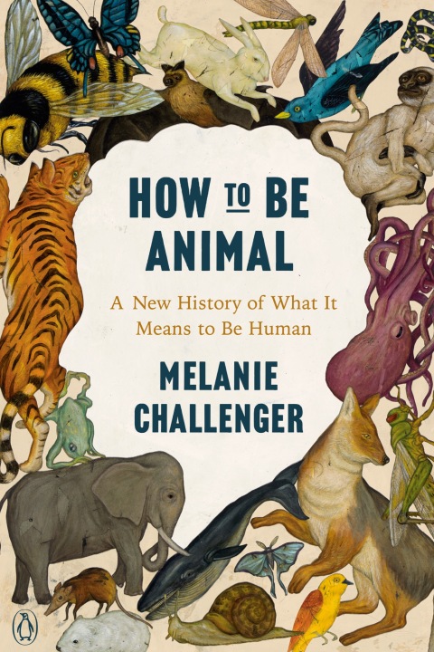 Cover image for book How to Be Animal