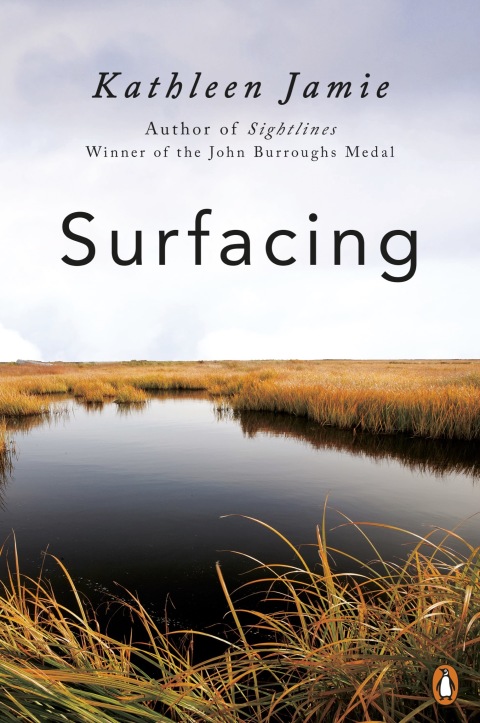 Cover image for book Surfacing