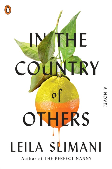 Cover image for book In the Country of Others