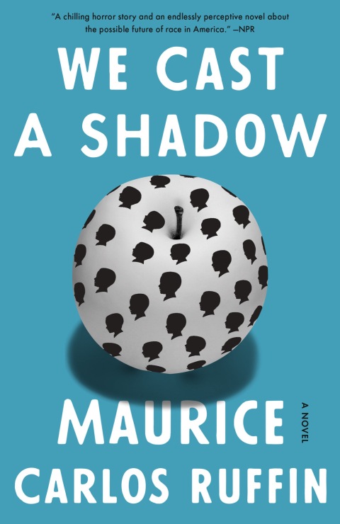 Cover image for book We Cast a Shadow
