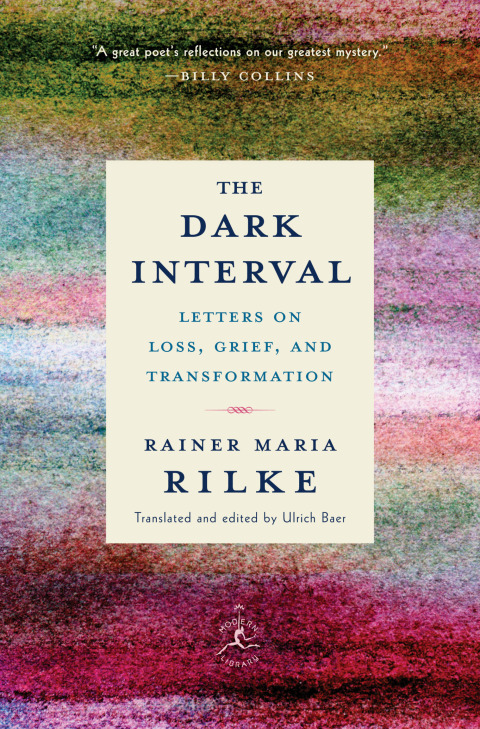 Cover image for book The Dark Interval