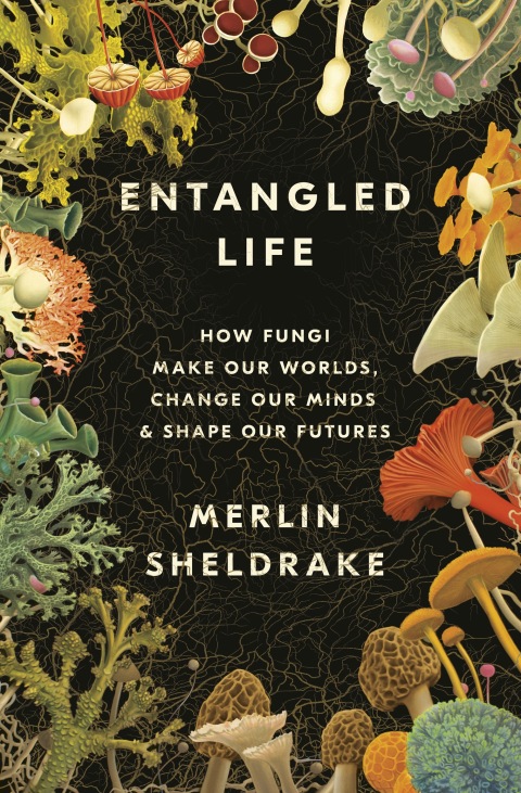 Cover image for book Entangled Life