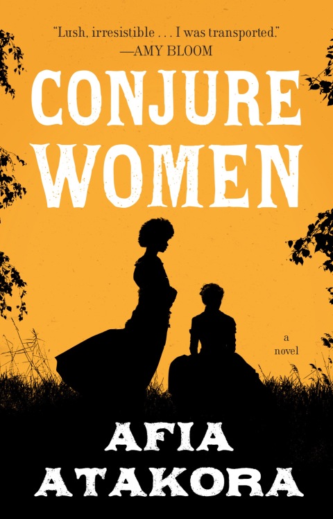 Cover image for book Conjure Women