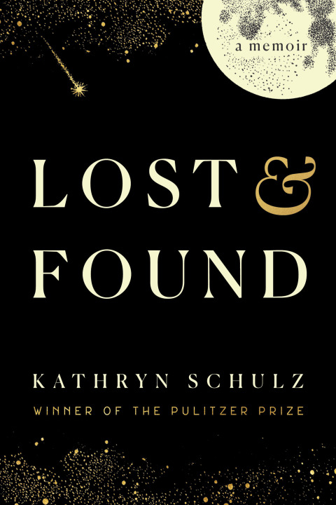 Cover image for book Lost & Found