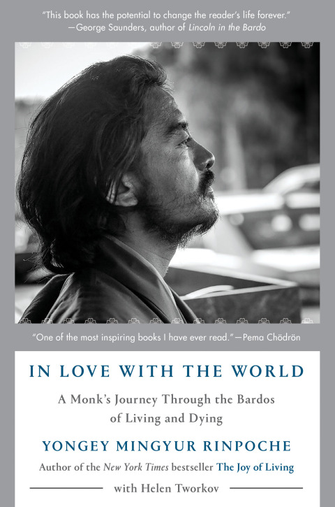 Cover image for book In Love with the World