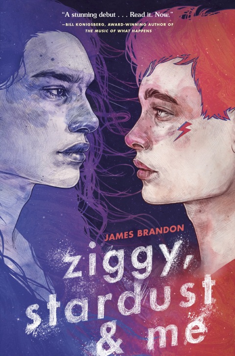 Cover image for book Ziggy, Stardust and Me