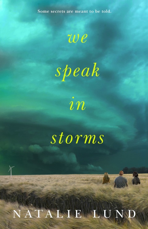 Cover image for book We Speak in Storms