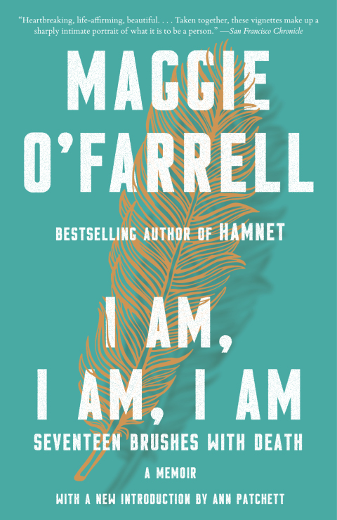 Cover image for book I Am, I Am, I Am