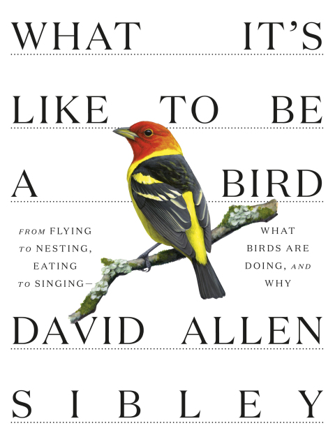 Cover image for book What It's Like to Be a Bird