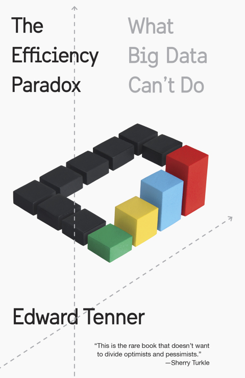 Cover image for book The Efficiency Paradox