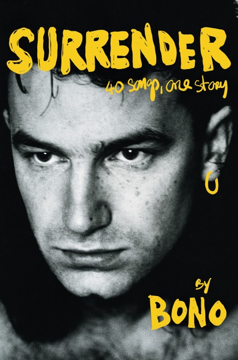 Cover image for book Surrender