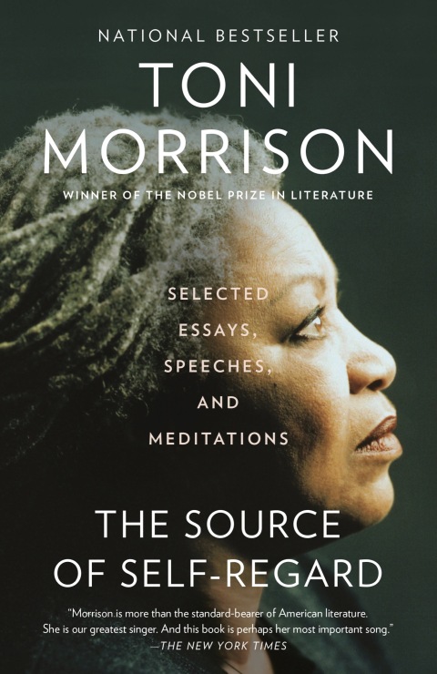Cover image for book The Source of Self-Regard