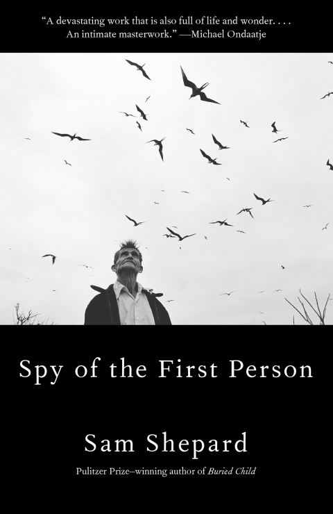 Cover image for book Spy of the First Person