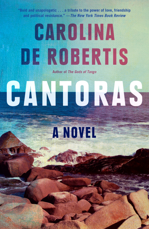 Cover image for book Cantoras