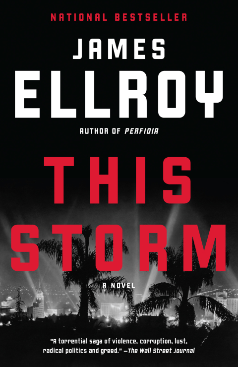 Cover image for book This Storm