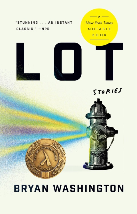 Cover image for book Lot