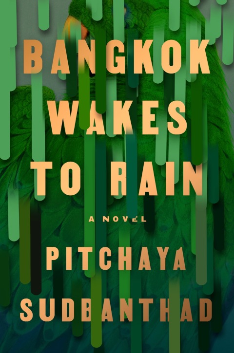 Cover image for book Bangkok Wakes to Rain