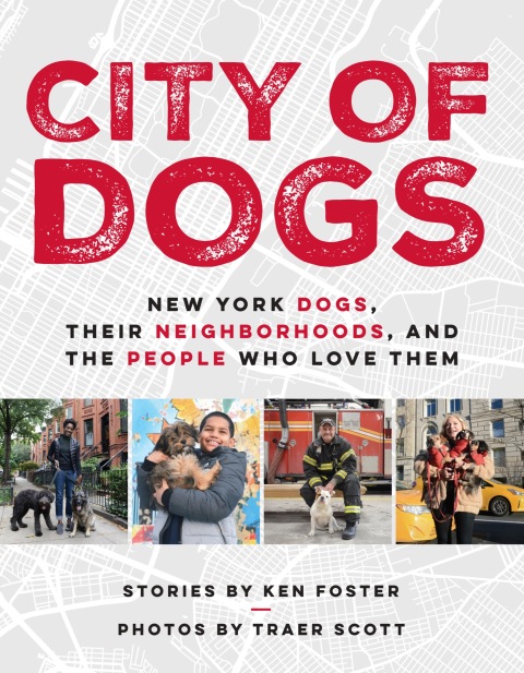 Cover image for book City of Dogs