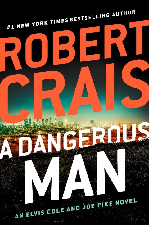 Cover image for book A Dangerous Man