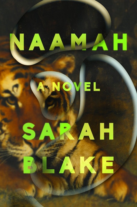 Cover image for book Naamah