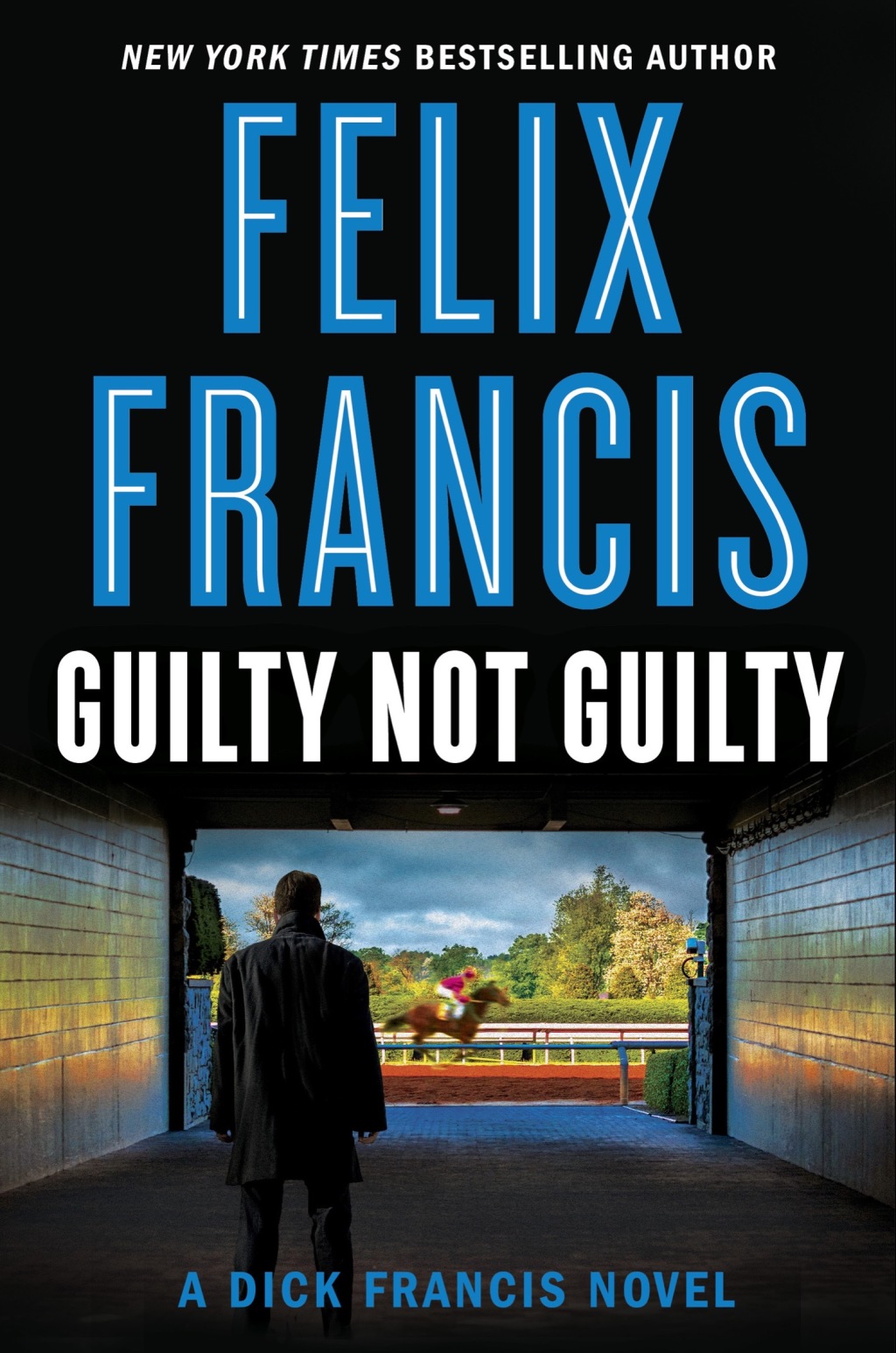 Reflowable Guilty Not Guilty; $11.09