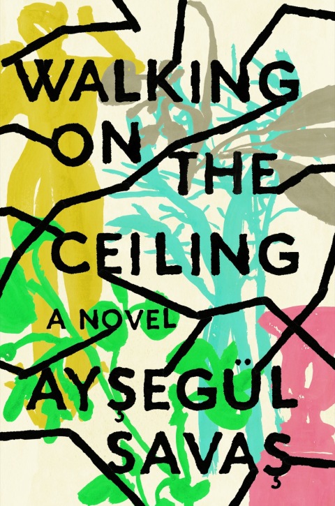 Cover image for book Walking on the Ceiling