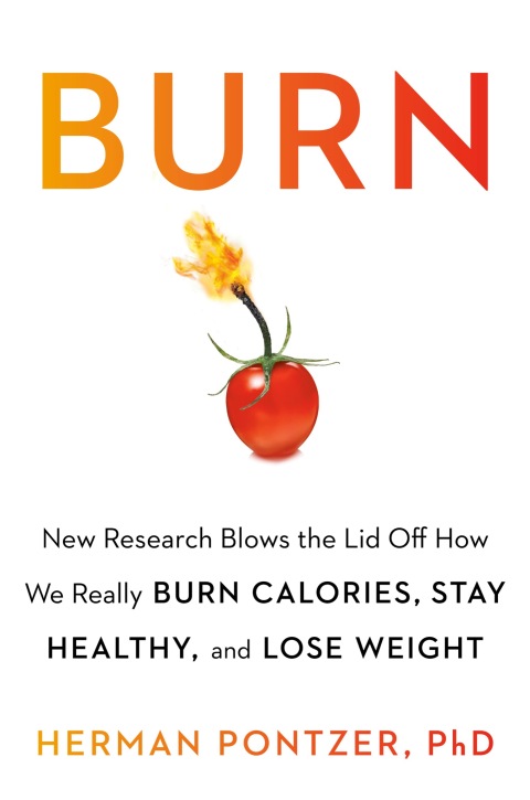 Cover image for book Burn