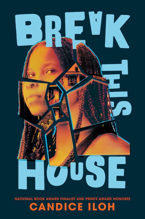 Cover image for book Break This House
